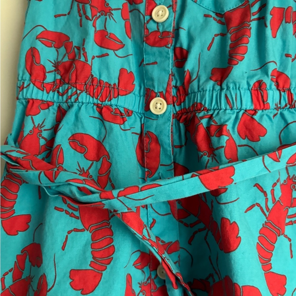 CrewCuts Lobster Print Dress 2T - Picture 4 of 4